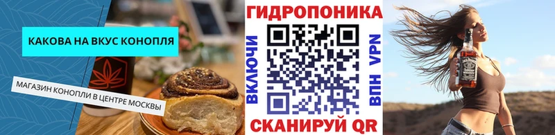 MEGA зеркало  Балабаново  Canna-Cookies конопля 