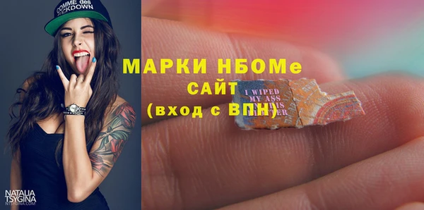 бошки Няндома