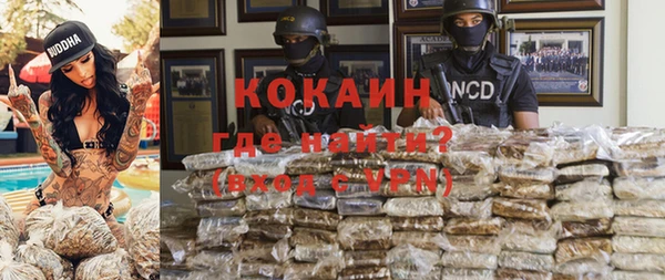 бошки Няндома
