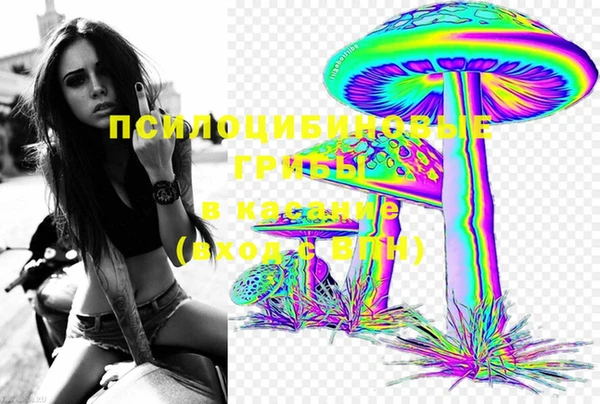 бошки Няндома