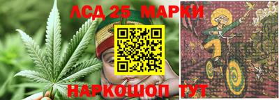 стаф Абинск