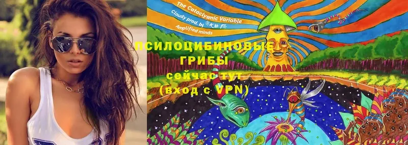 Галлюциногенные грибы Psilocybe  Балабаново 