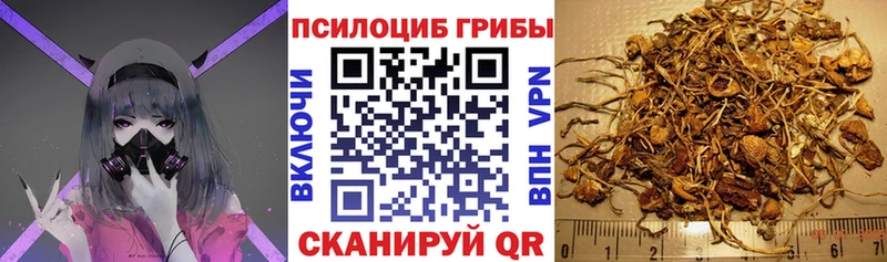 Галлюциногенные грибы ЛСД  Балабаново 