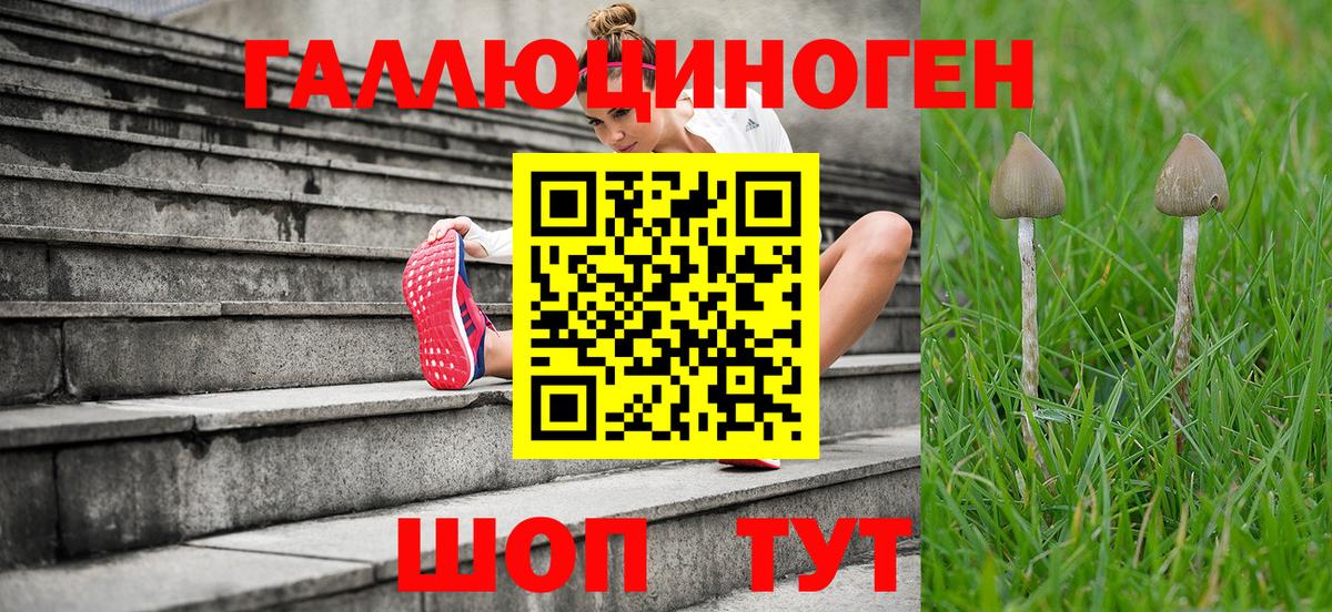 Псилоцибиновые грибы ЛСД Балабаново
