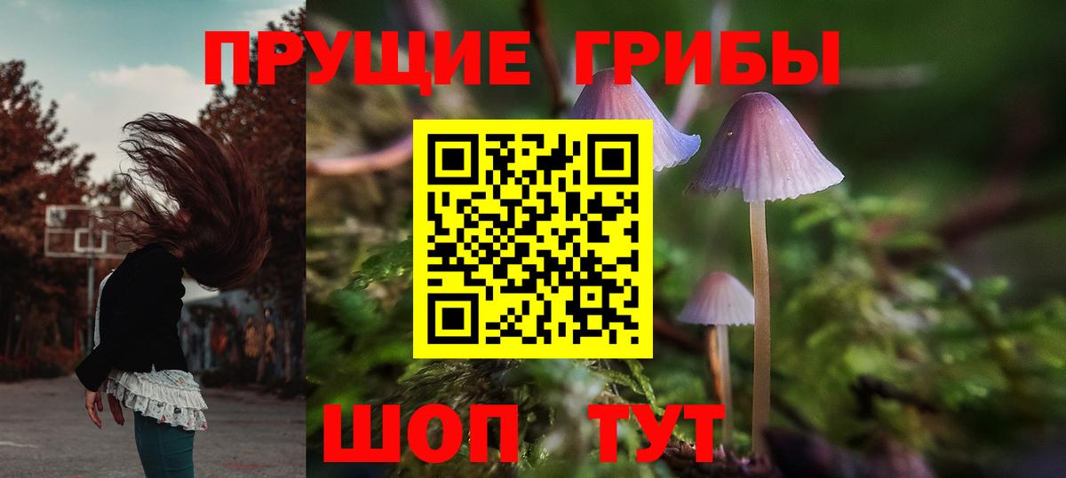Галлюциногенные грибы прущие грибы Балабаново