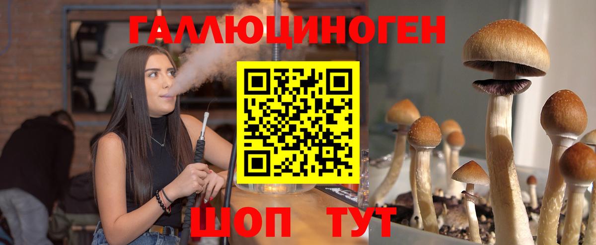 магазин продажи   Галлюциногенные грибы Psilocybine cubensis  Вход с VPN  Балабаново 