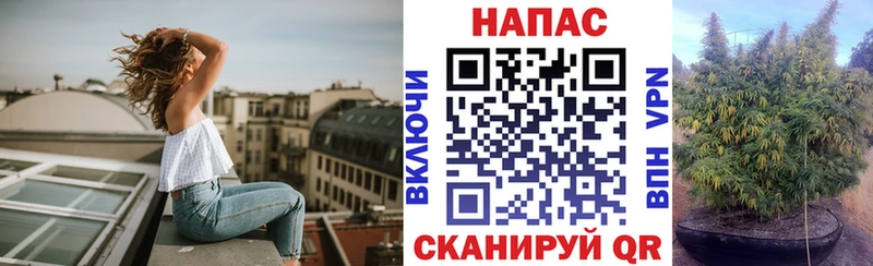 Конопля VHQ купить наркоту гидра Балабаново
